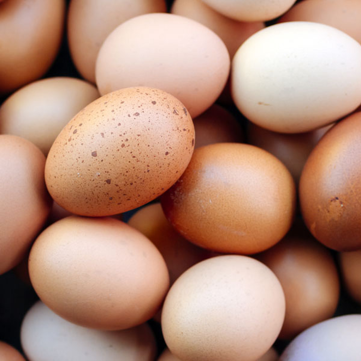 Half Dozen Large Free Range Eggs